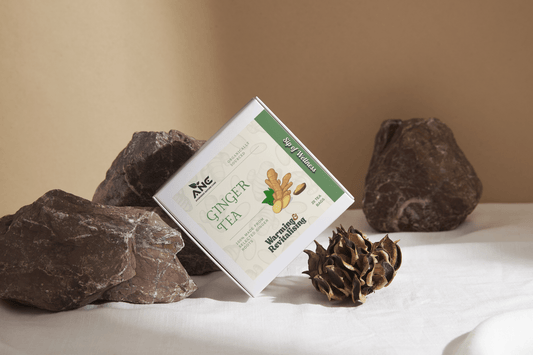Ginger Tea - 20 tea bags - Ayurvedic Nature Care